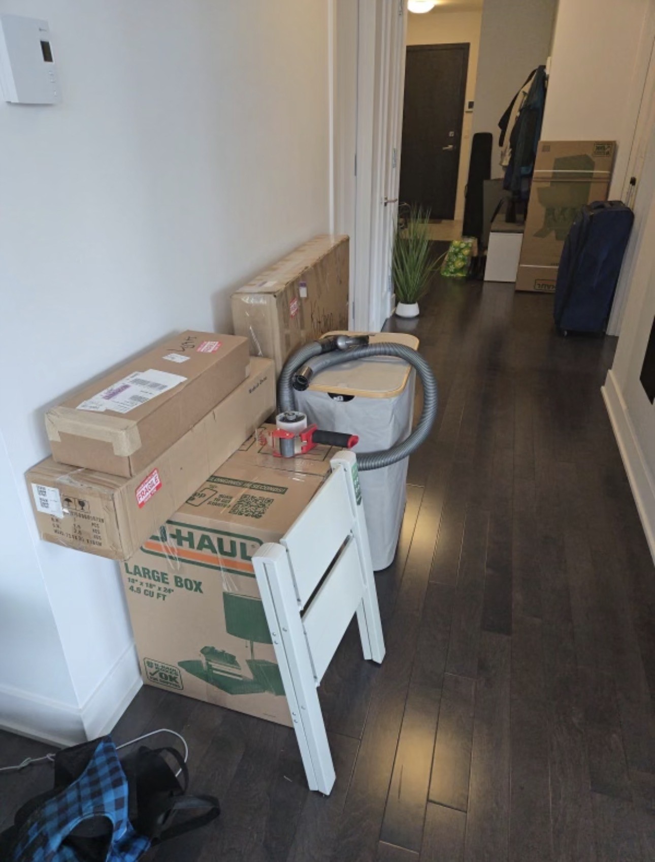 Moving pictures with trucks, boxes and movers