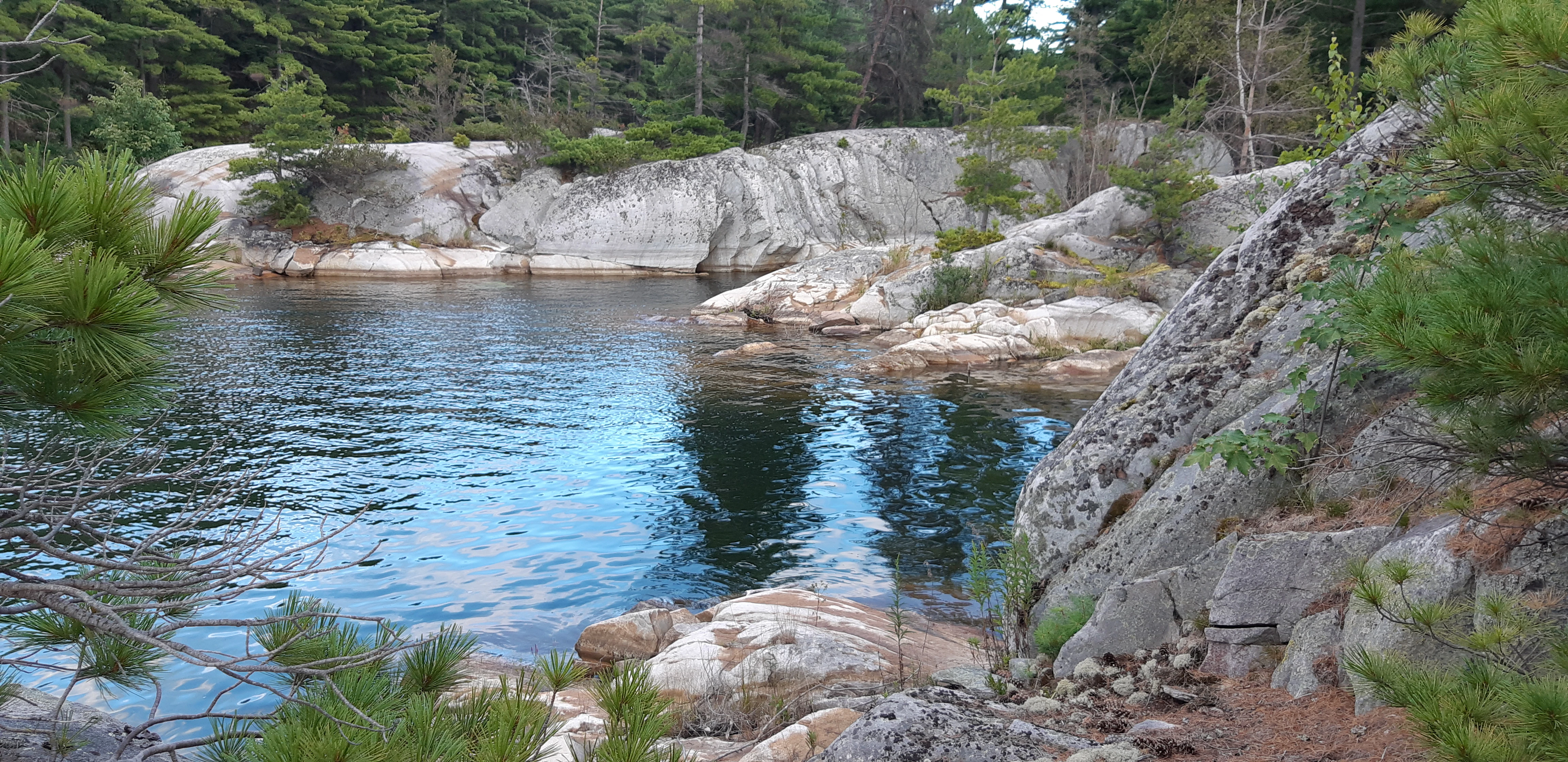 A scenic nature picture of rocks, trees and water in McGregor Bay, Ontario, Canada