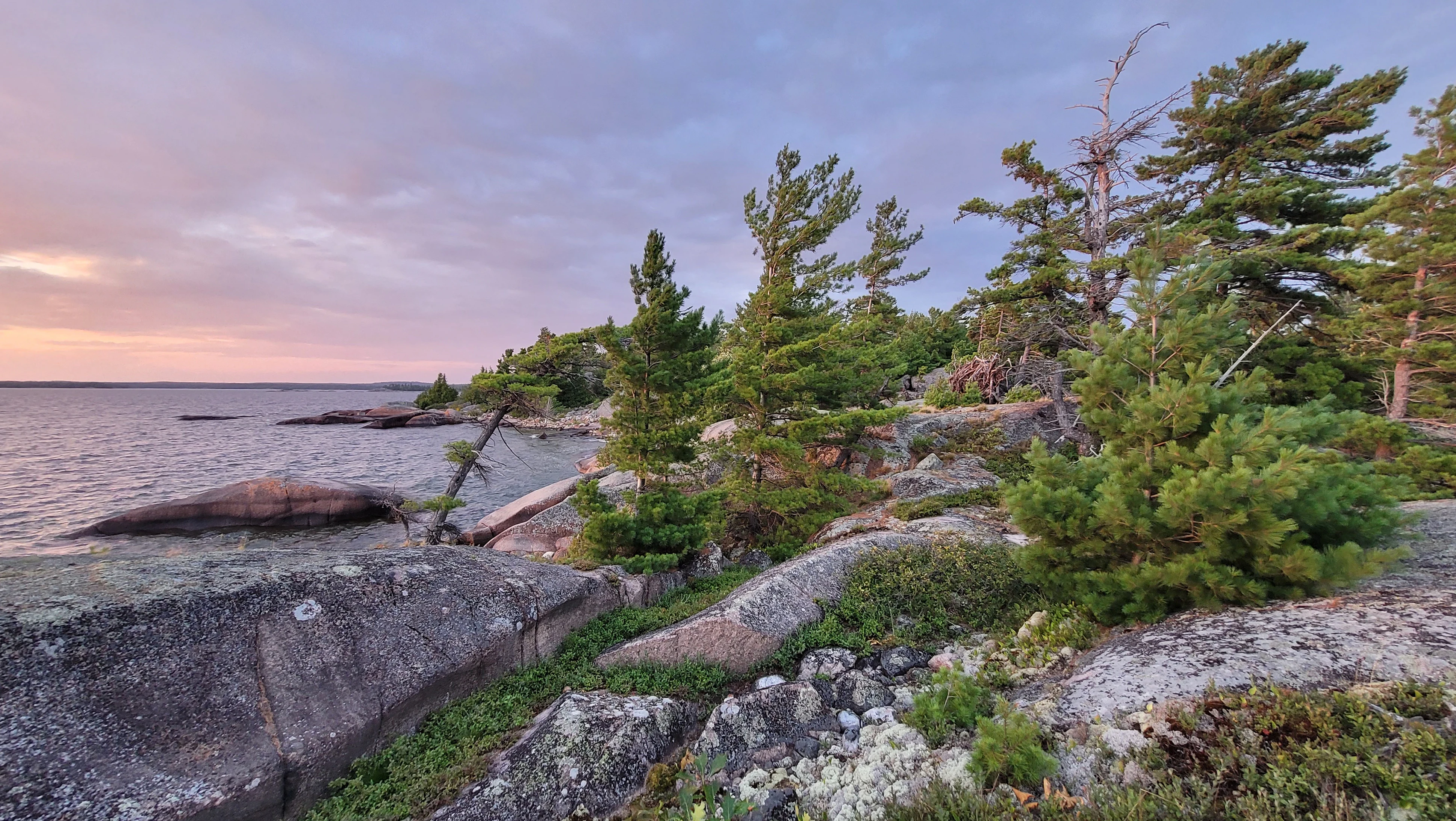 A calm cove red cliff with a tree on top in North Benjamin Island in The North Channel of Lake Huron