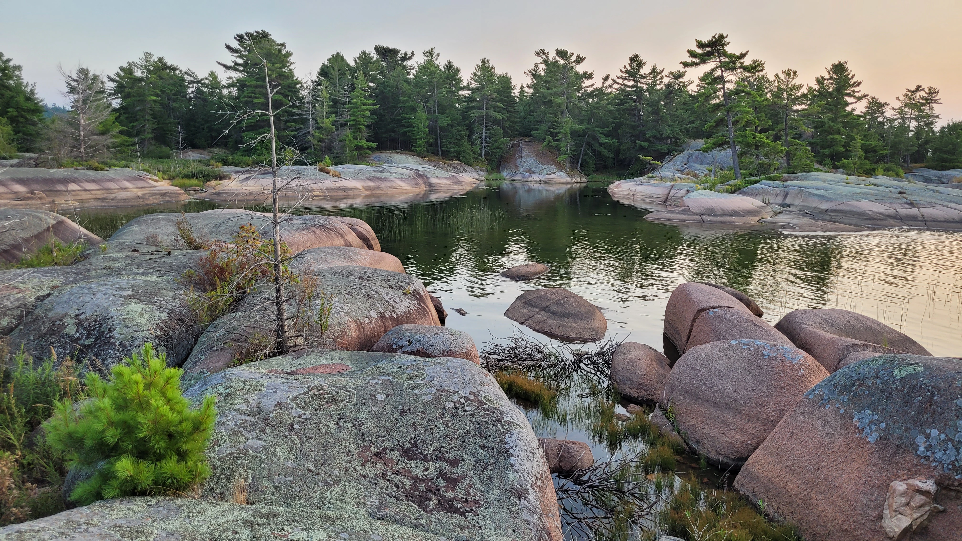 Pine trees reflecting over the water and smooth red rocks in a cove in the Benjamin Islands in Northern Ontrario, Canada