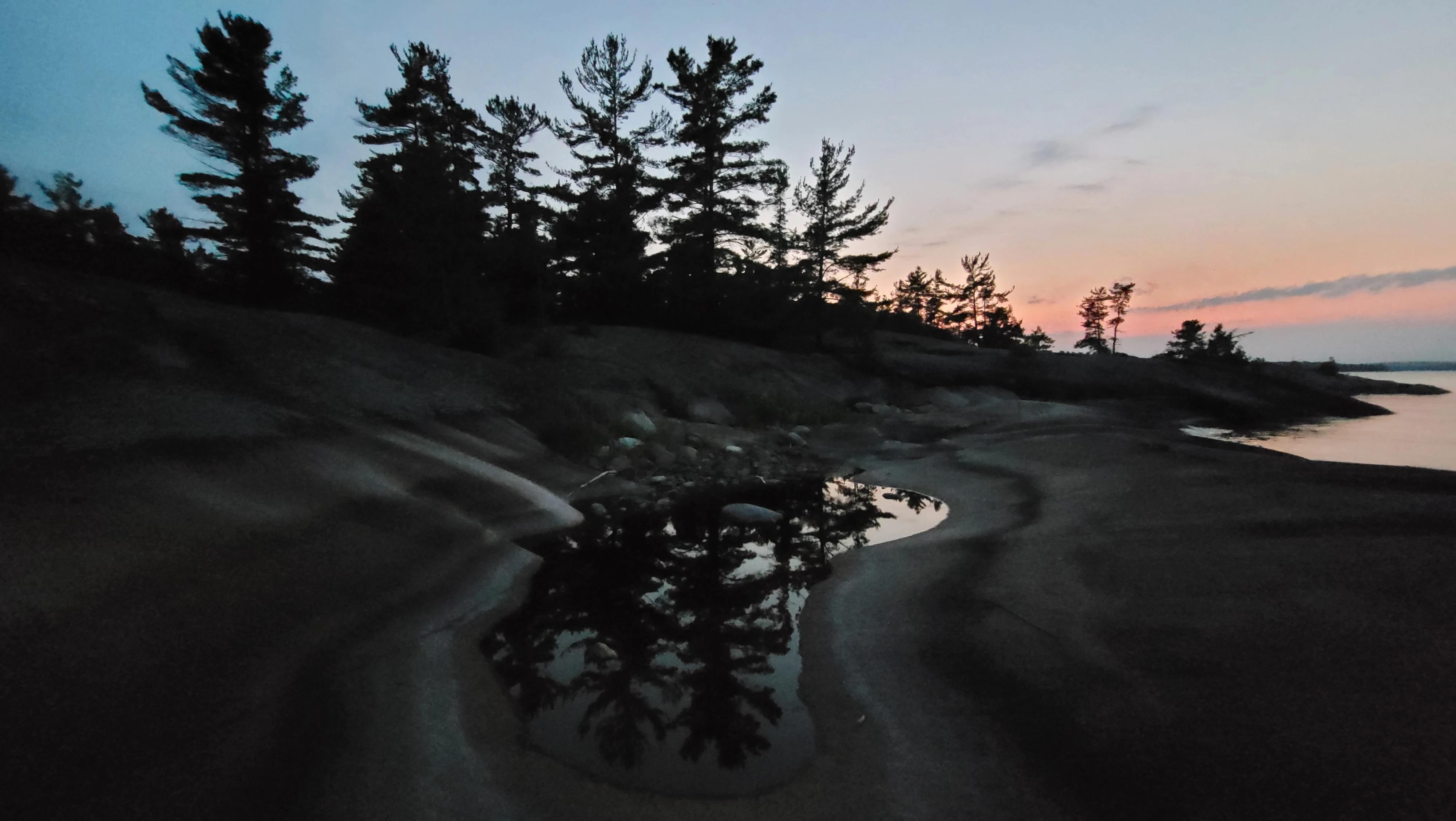 Pine trees reflecting in a puddle on the Benjamin Islands in Northern Ontrario, Canada