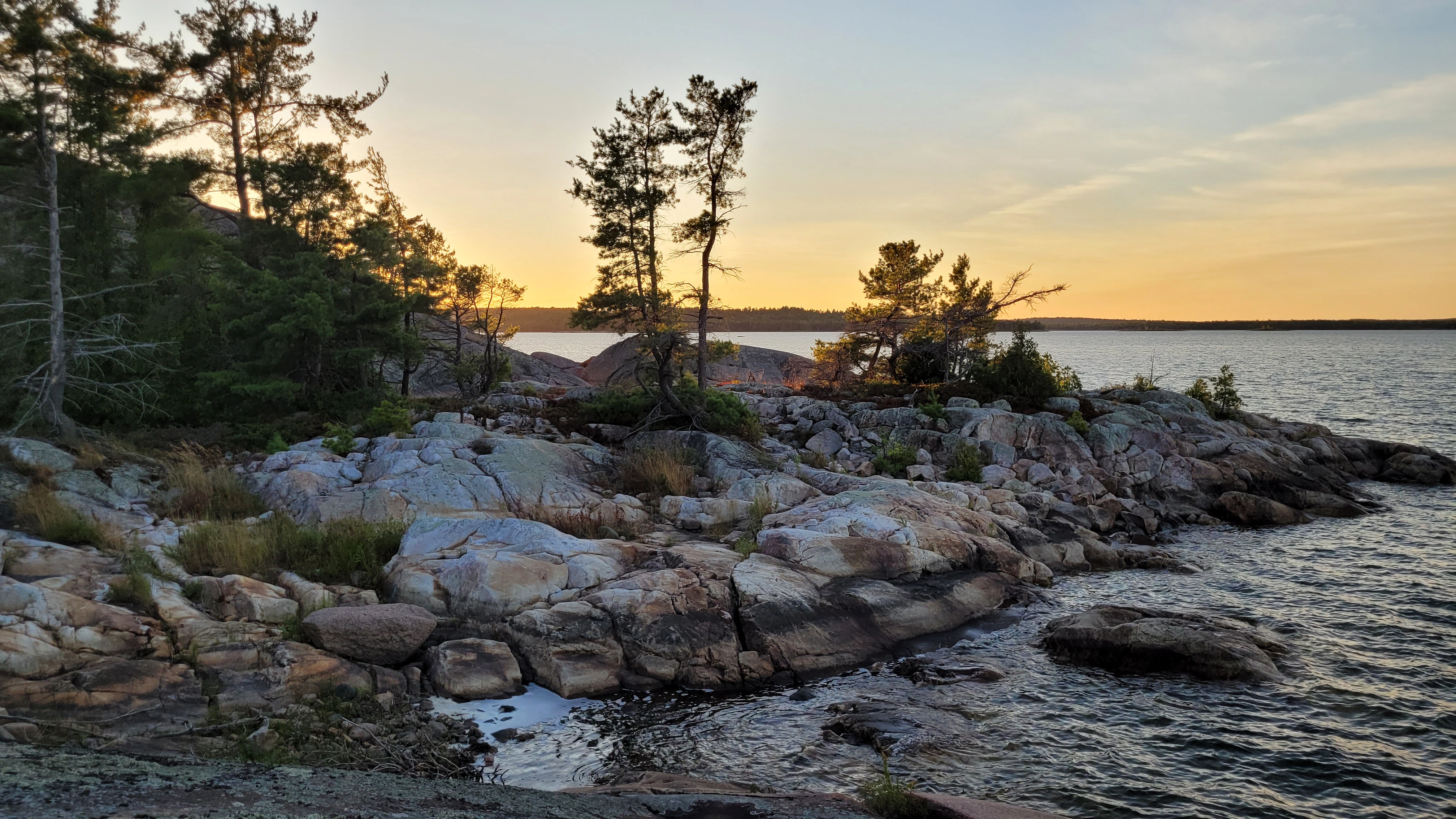 A sunset over pine trees growing on white quartzite rocks on the Benjamin Islands in Northern Ontrario, Canada