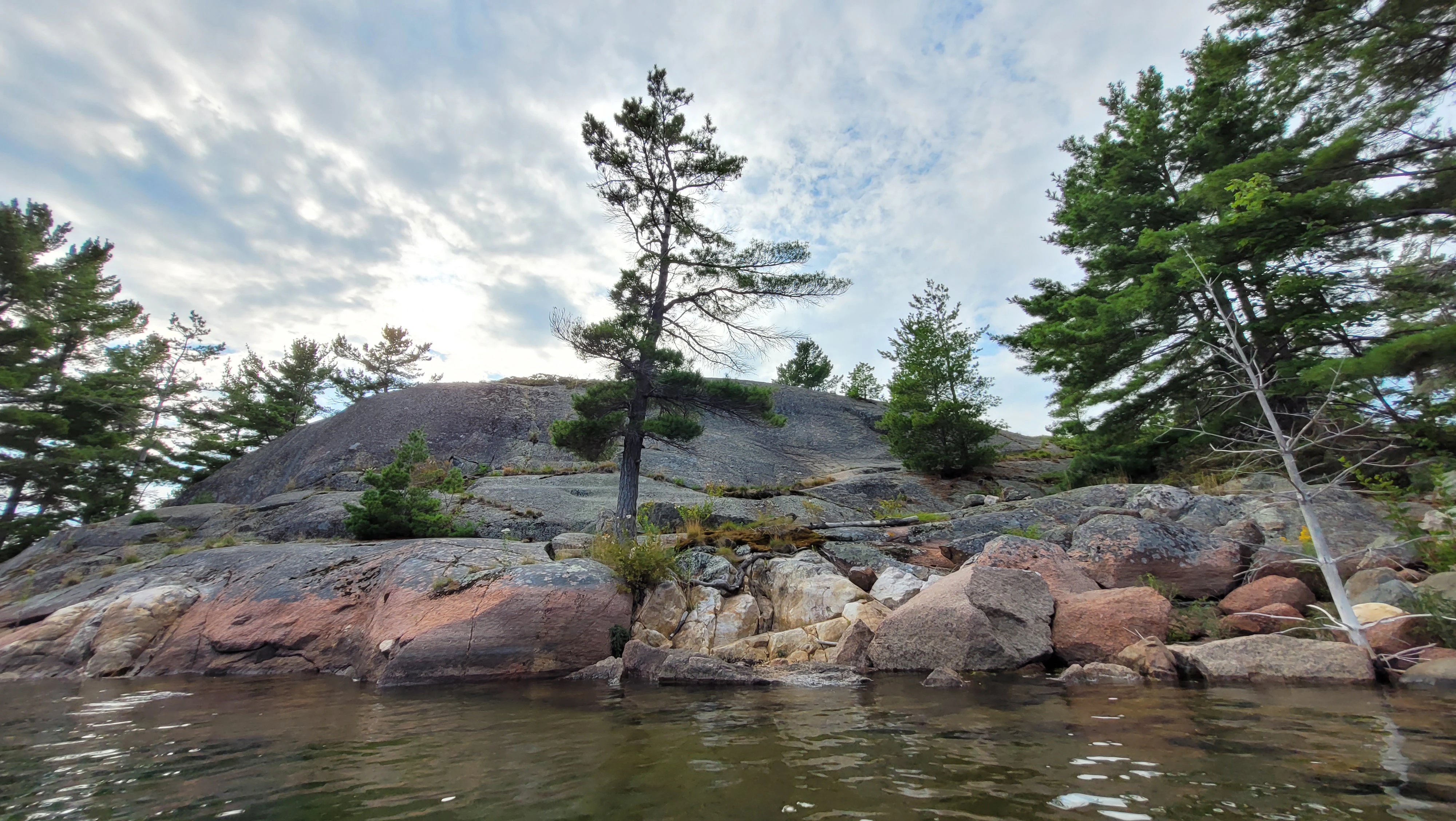 A corful, lichen covered cliff on the Benjamin Islands in Northern Ontrario, Canada
