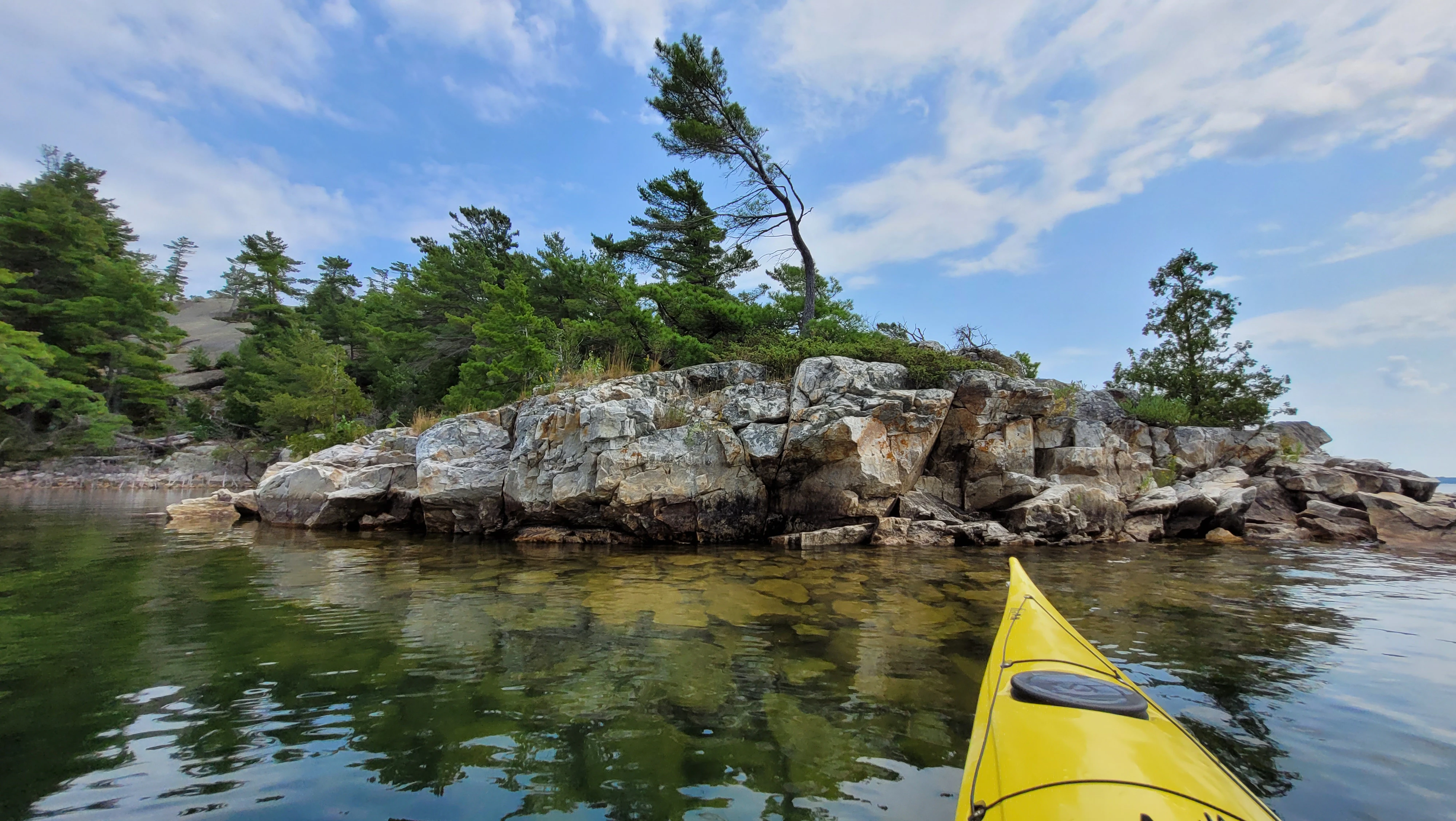 A windsept pine tree on the shoreline of the Benjamin Islands in Northern Ontrario, Canada