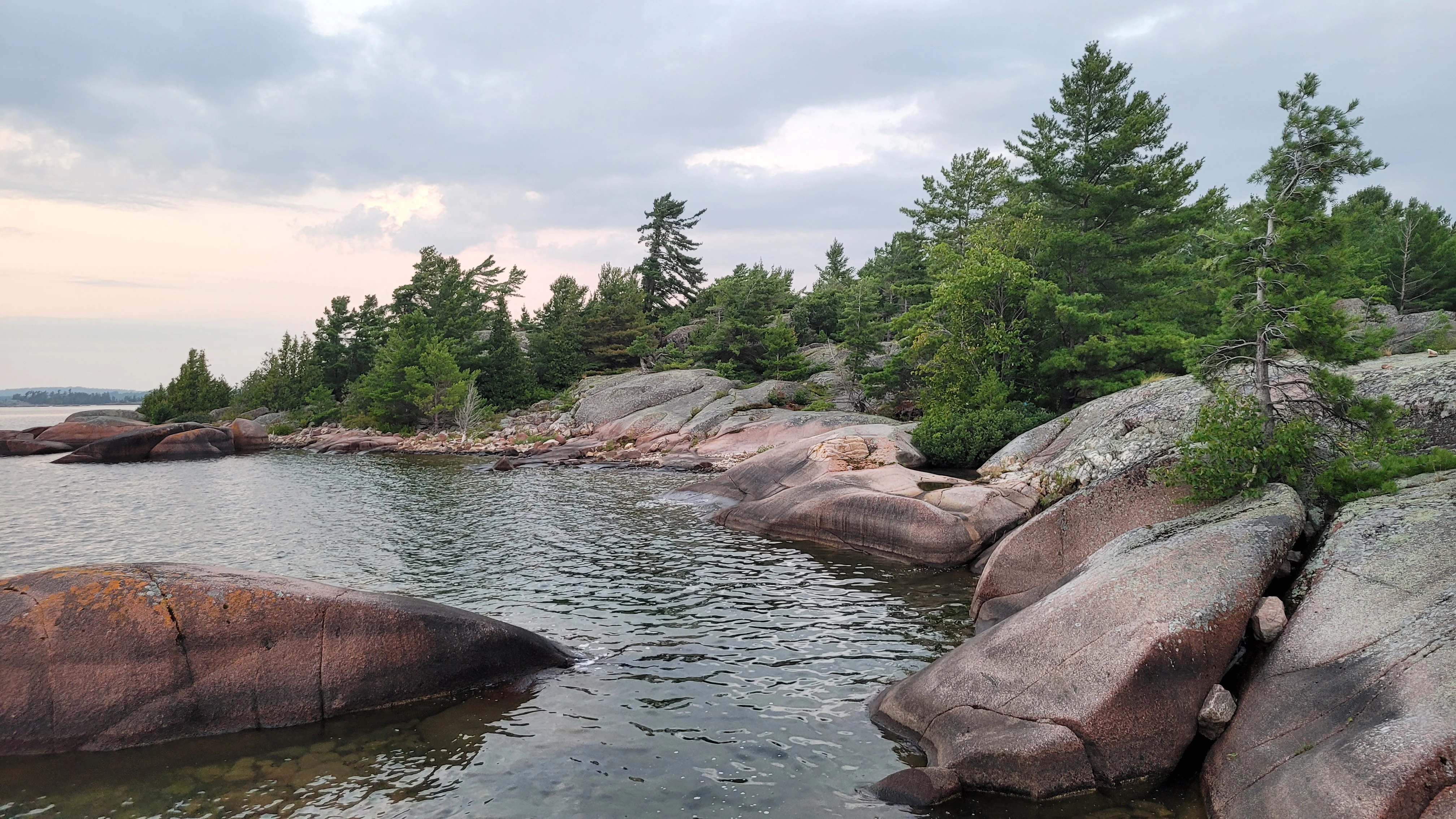 A wind bent white pine tree growing out of white quartzite rocks on South Benjamin Island in Northern Ontrario, Canada