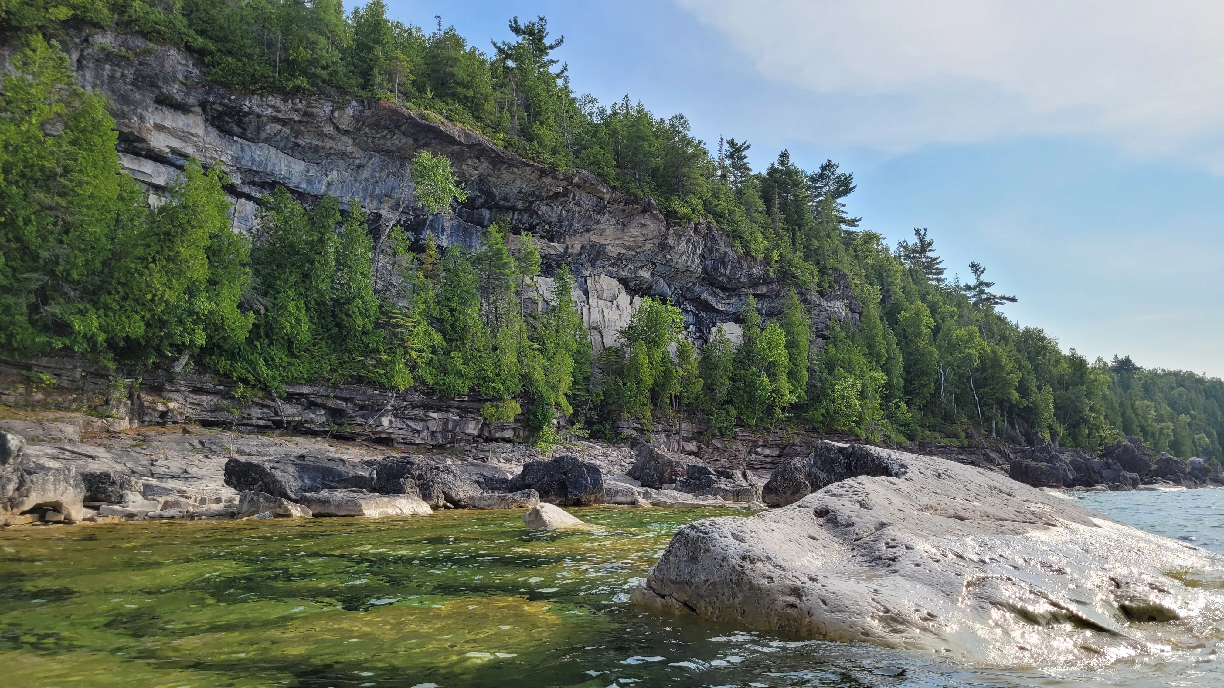 Forested limestone cliff rising above Georgian Bay