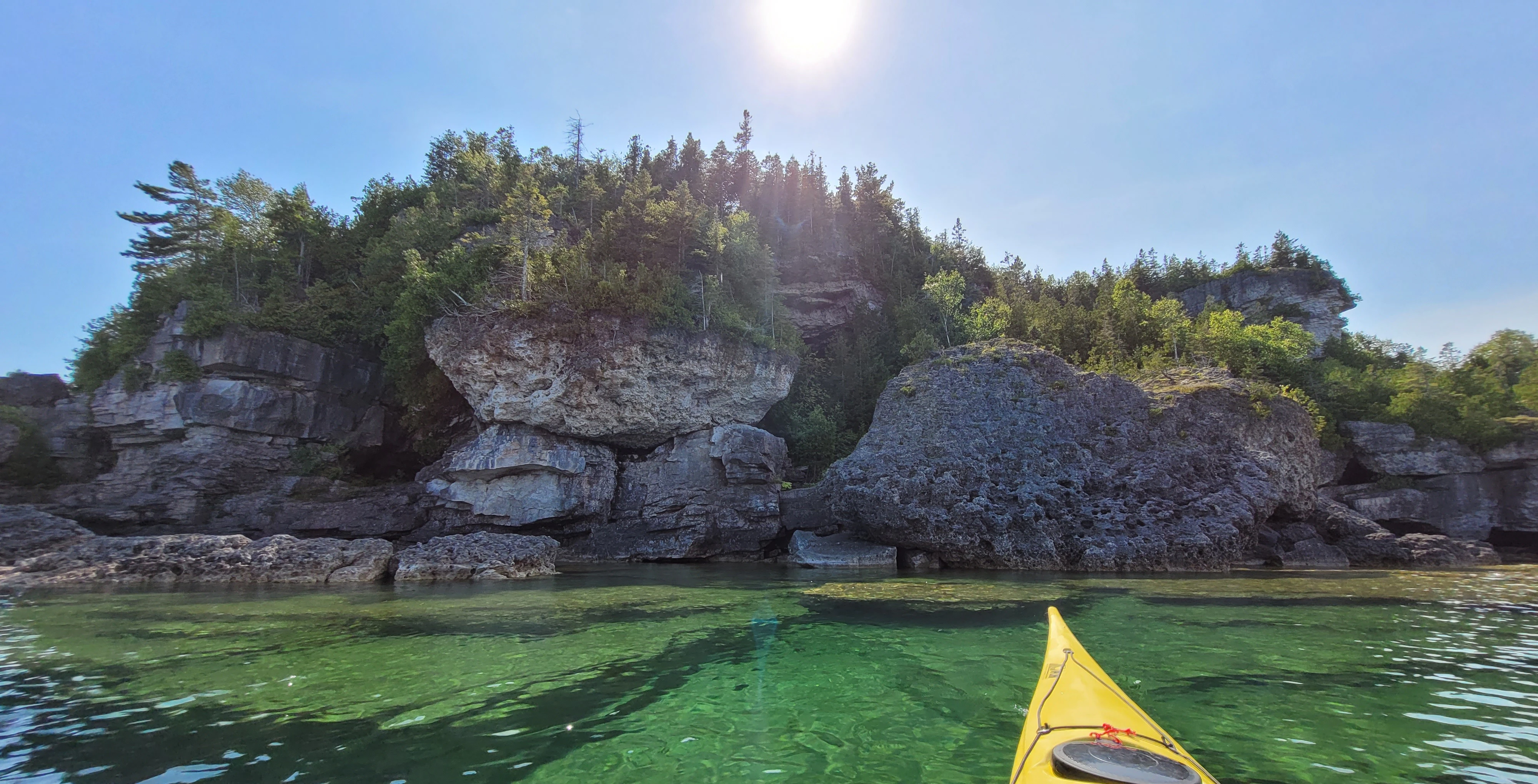 Floating tree drifting near the shoreline of the Bruce Peninsula