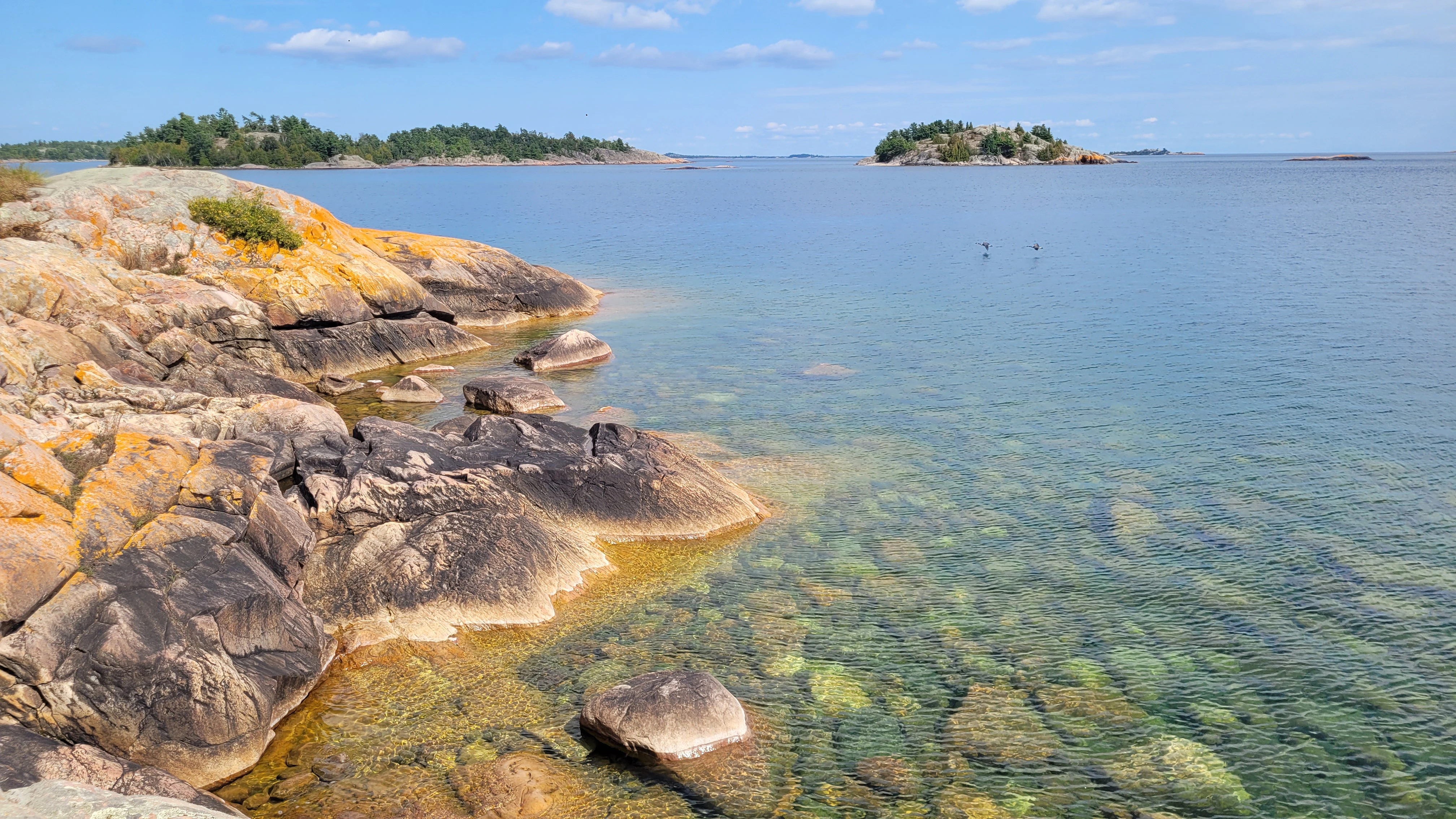 An epic view of the Fox Islands from Sly Fox Island with two birds flying by, clear turquoise water and pink rocks covered with orange lichen