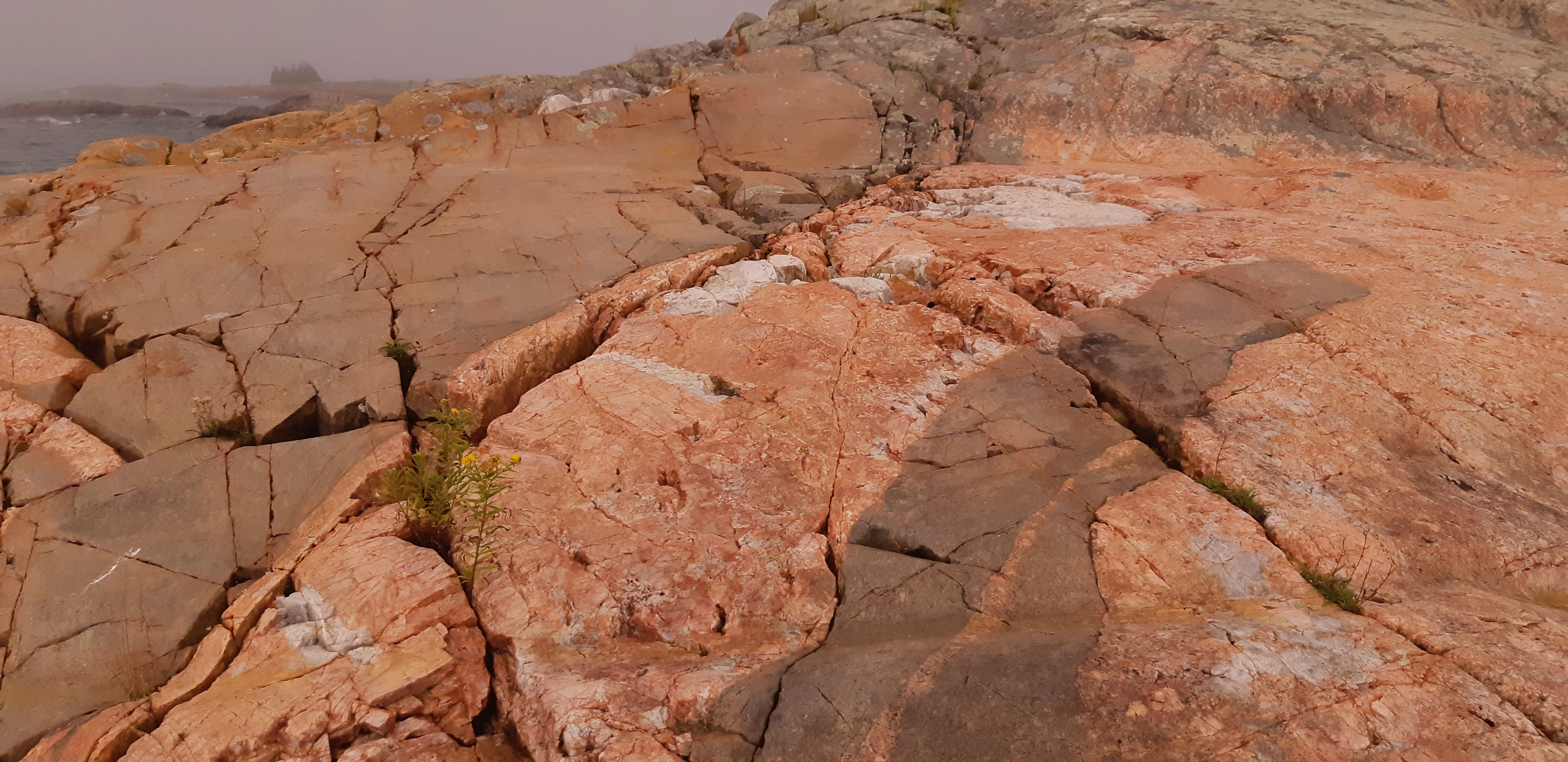 Granite formations along the coast of Phillip Edward Island