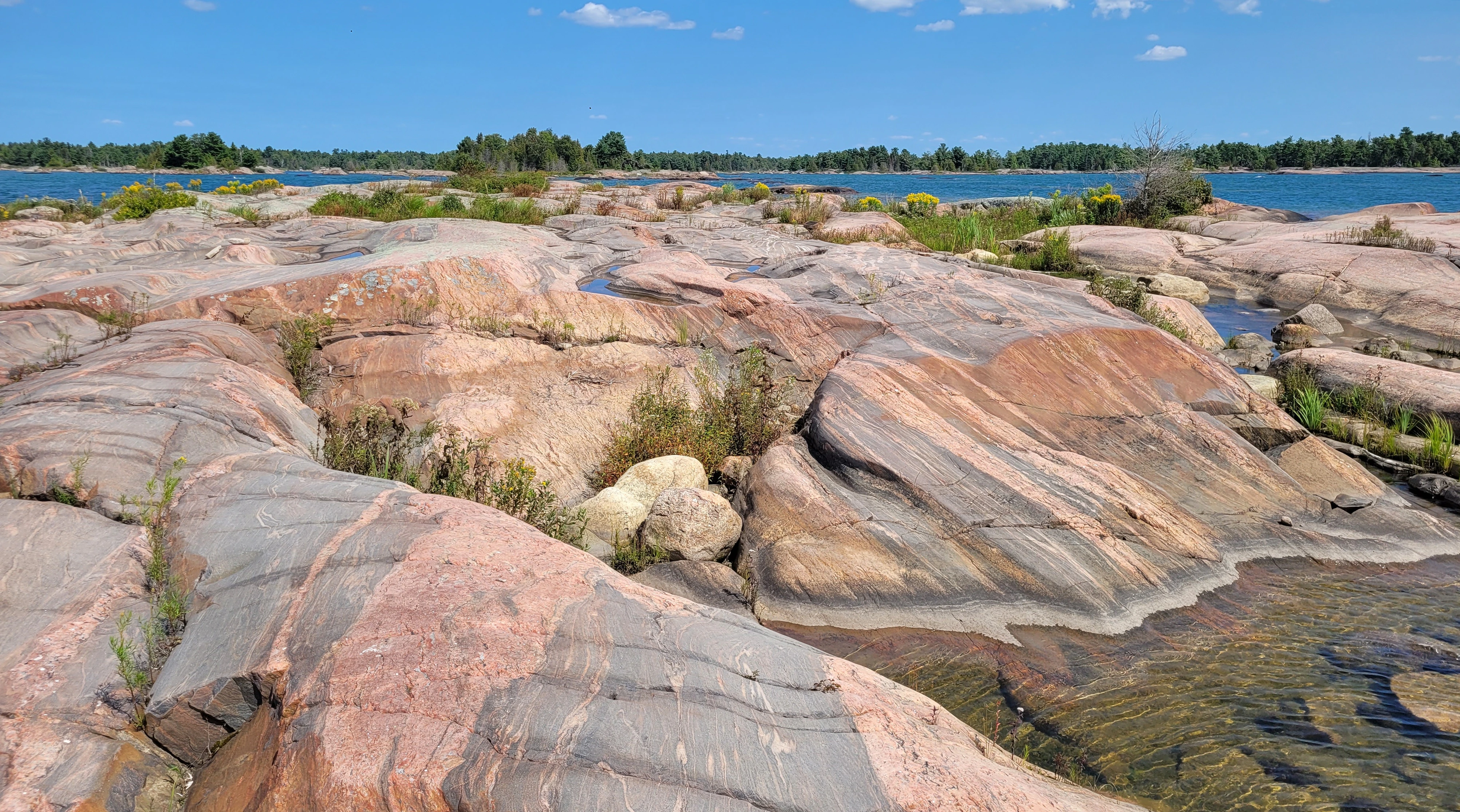 A granite rock with swirling pink veins on a rock in the Georgian Bay near Phillip Edward Island