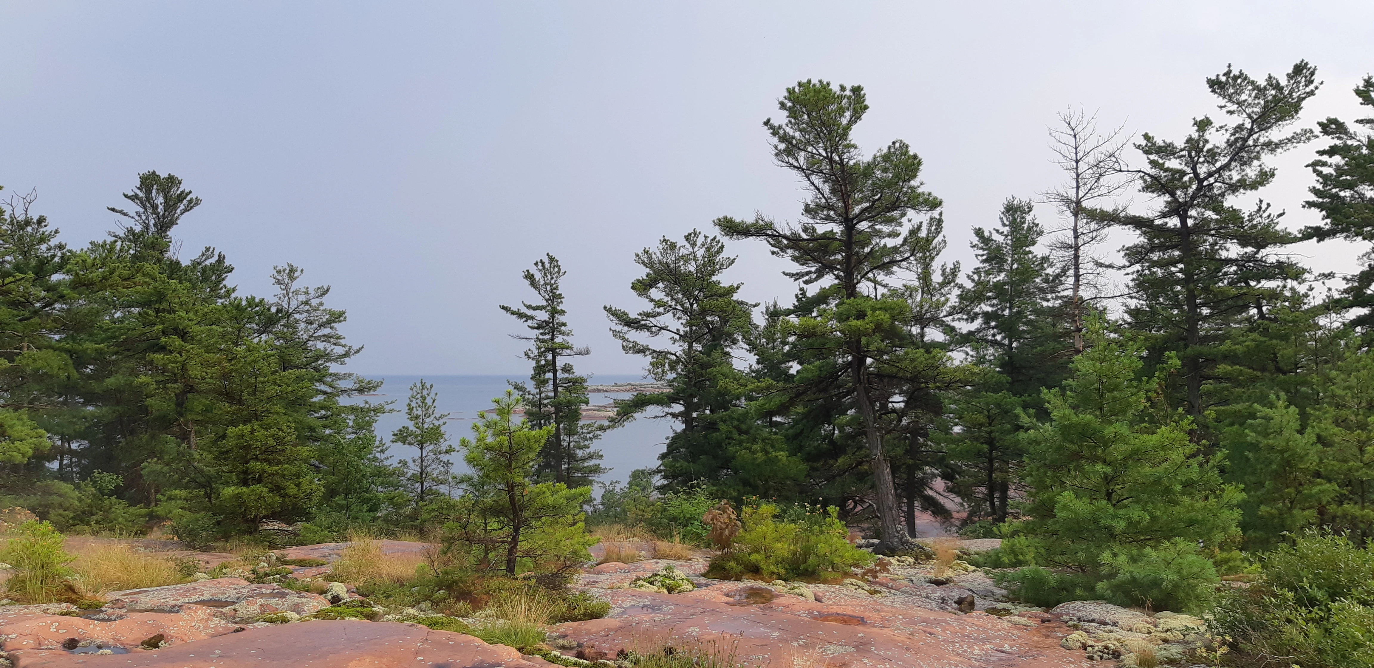 The shoreline from Thomas Bay in Georgian Bay in Northern Ontario