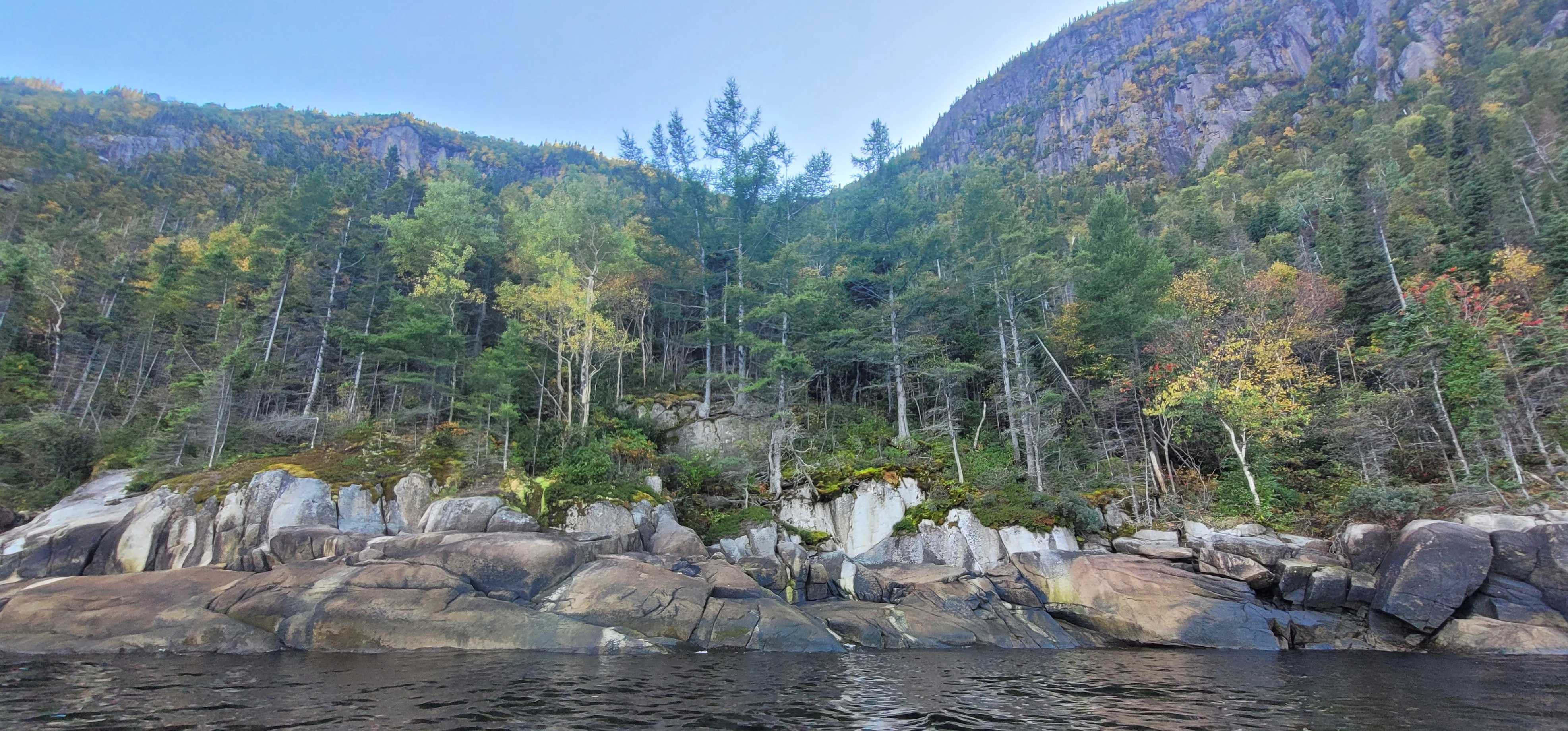 Pine trees and rocky shoreline along the Saguenay Fjord