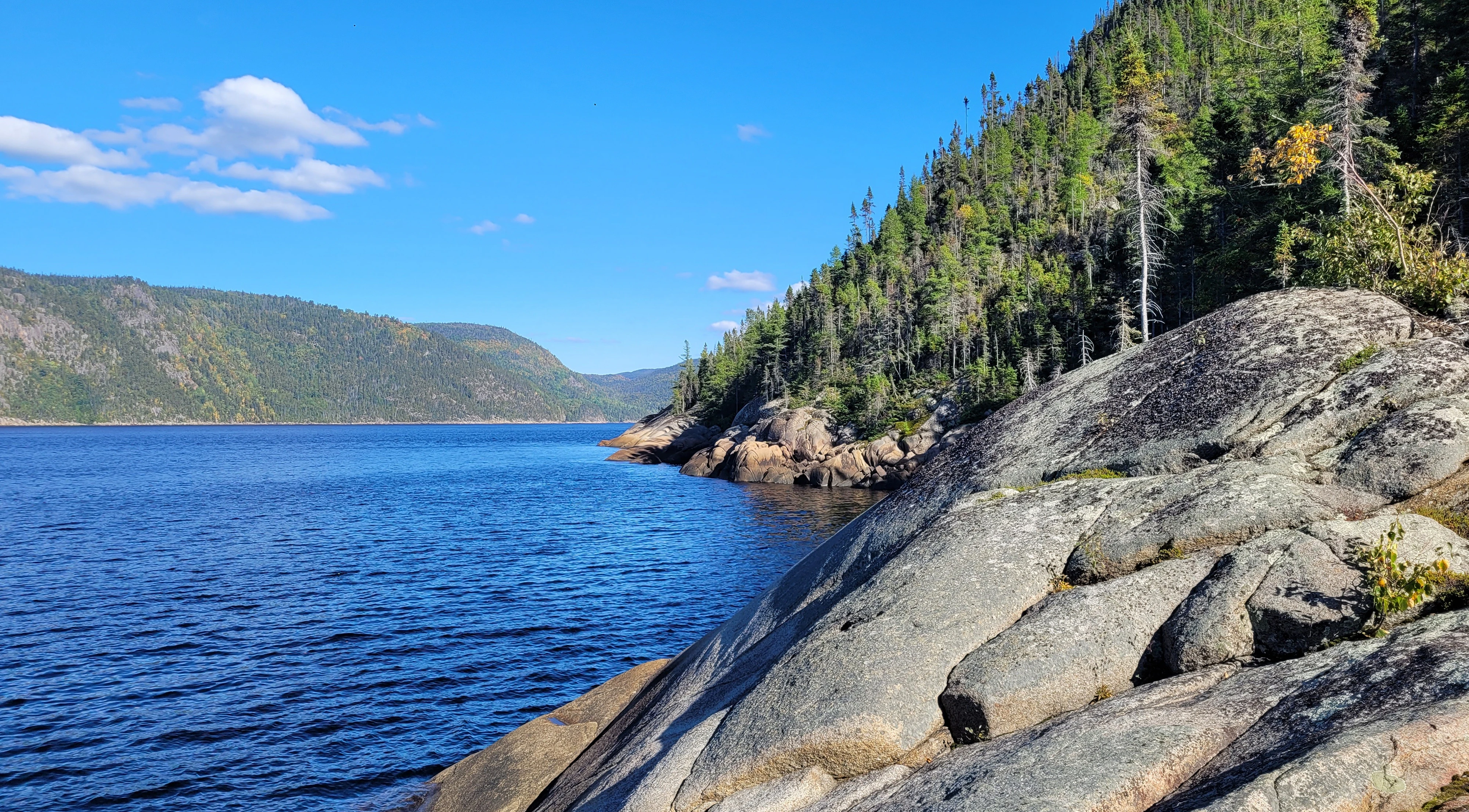 Fjord shoreline viewed from the waters of the Saguenay River