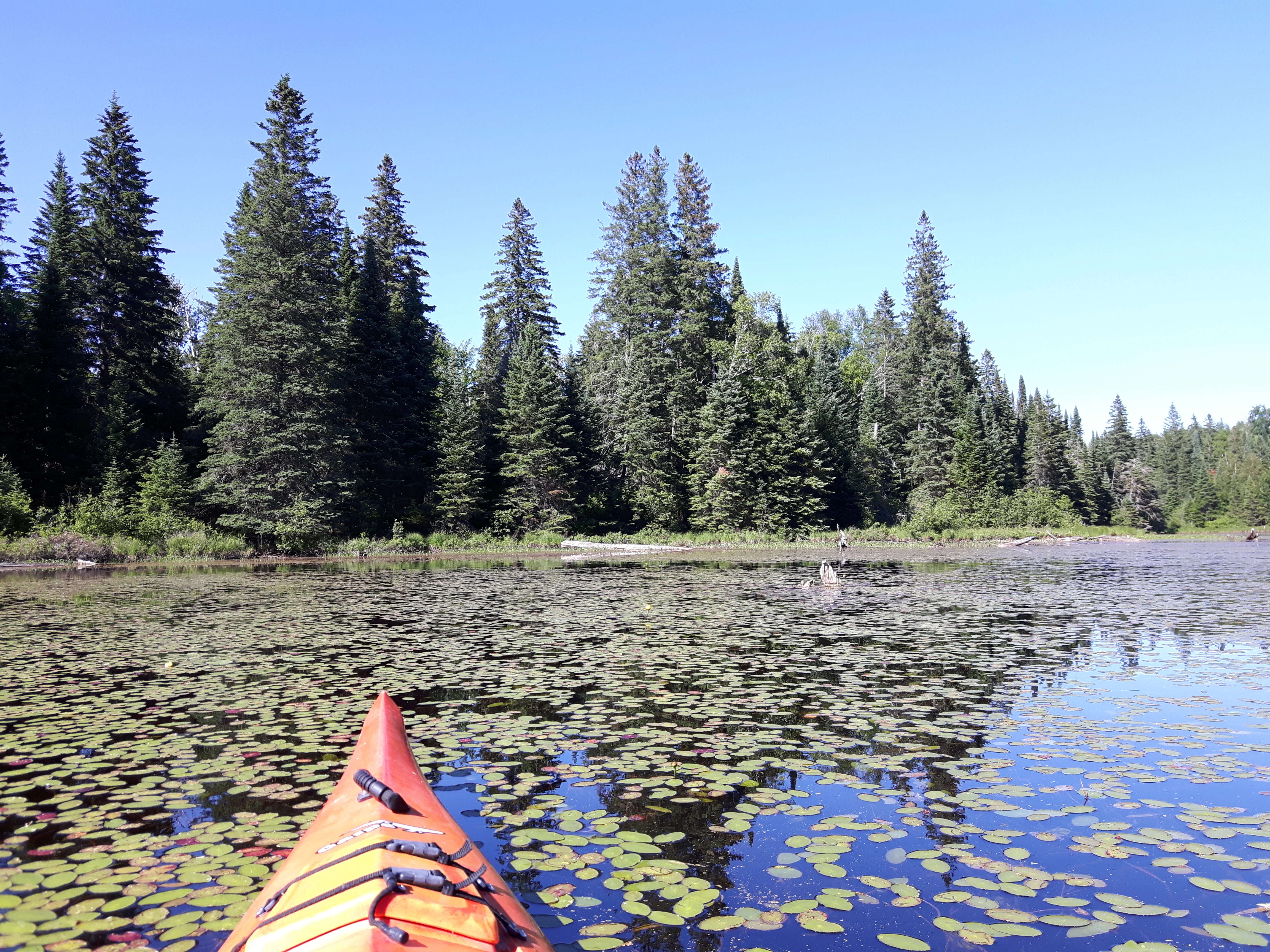 Backcountry kayak trip to Algonquin Park in Ontario Canada