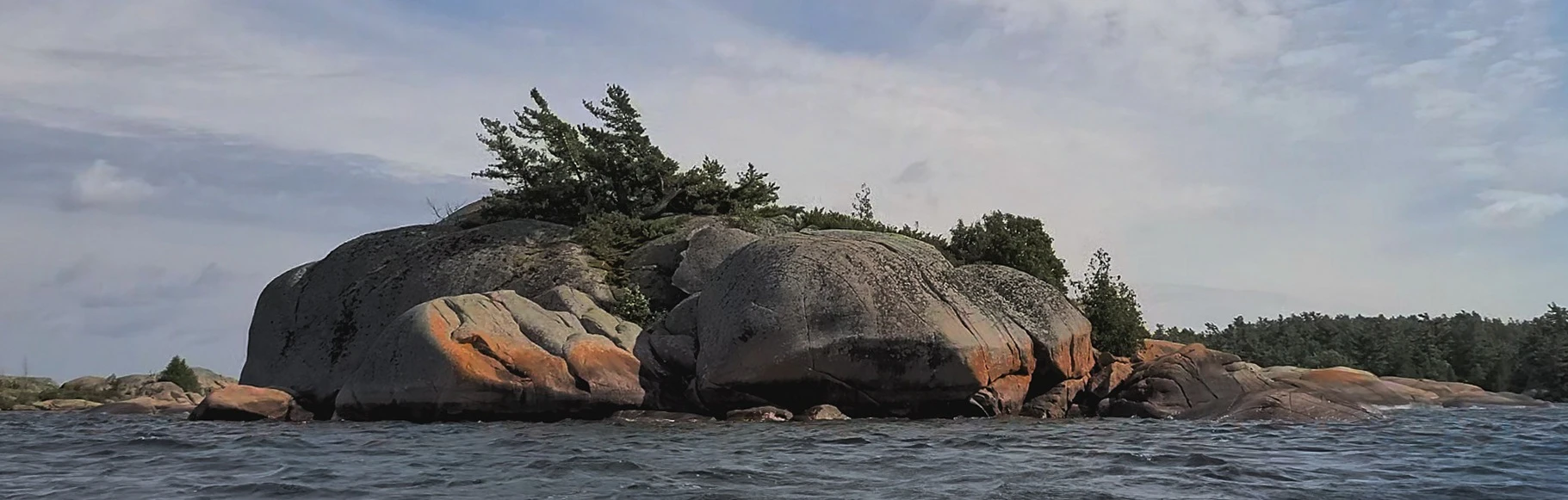 Wind-blown tree overlooking the North Channel